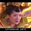 网页图片翻译器